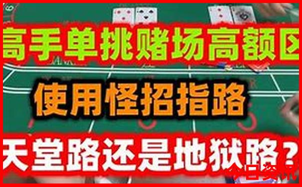 适合夏天旅游的城市有哪些地方