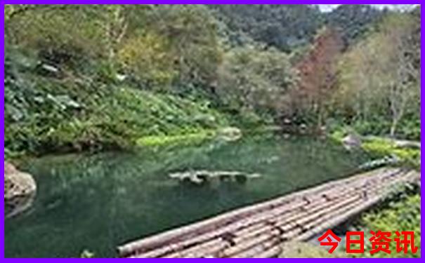 带五岁孩子去哪旅游好