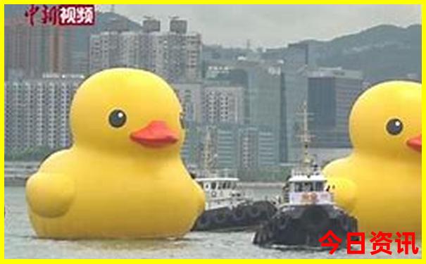 王中王493333中王504
